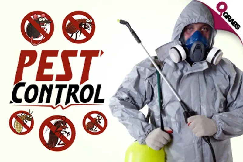 From QR125 Rid your Home of Insects with Pest Control OR Bedbug Treatment OR Steam Treatment! (Up to QR800 Value)